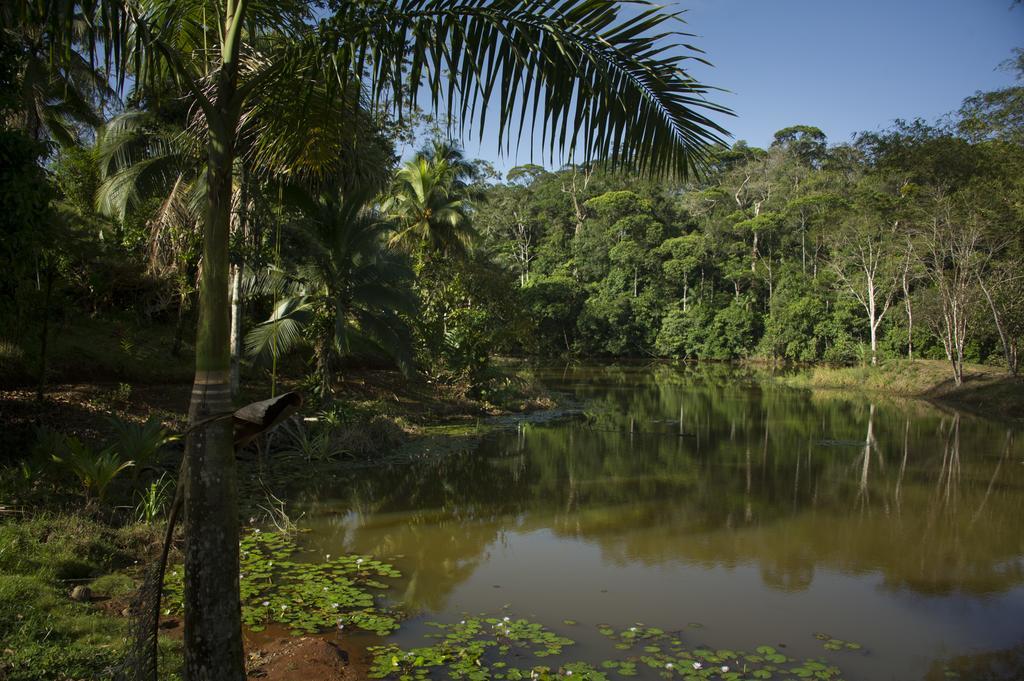La Laguna Del Lagarto Eco-Lodge Pital  外观 照片