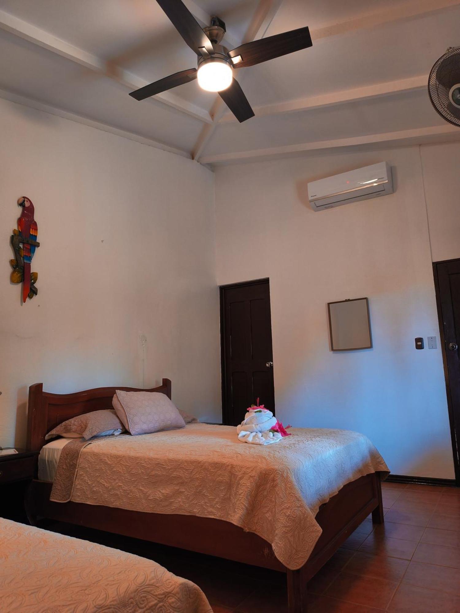 La Laguna Del Lagarto Eco-Lodge Pital  外观 照片