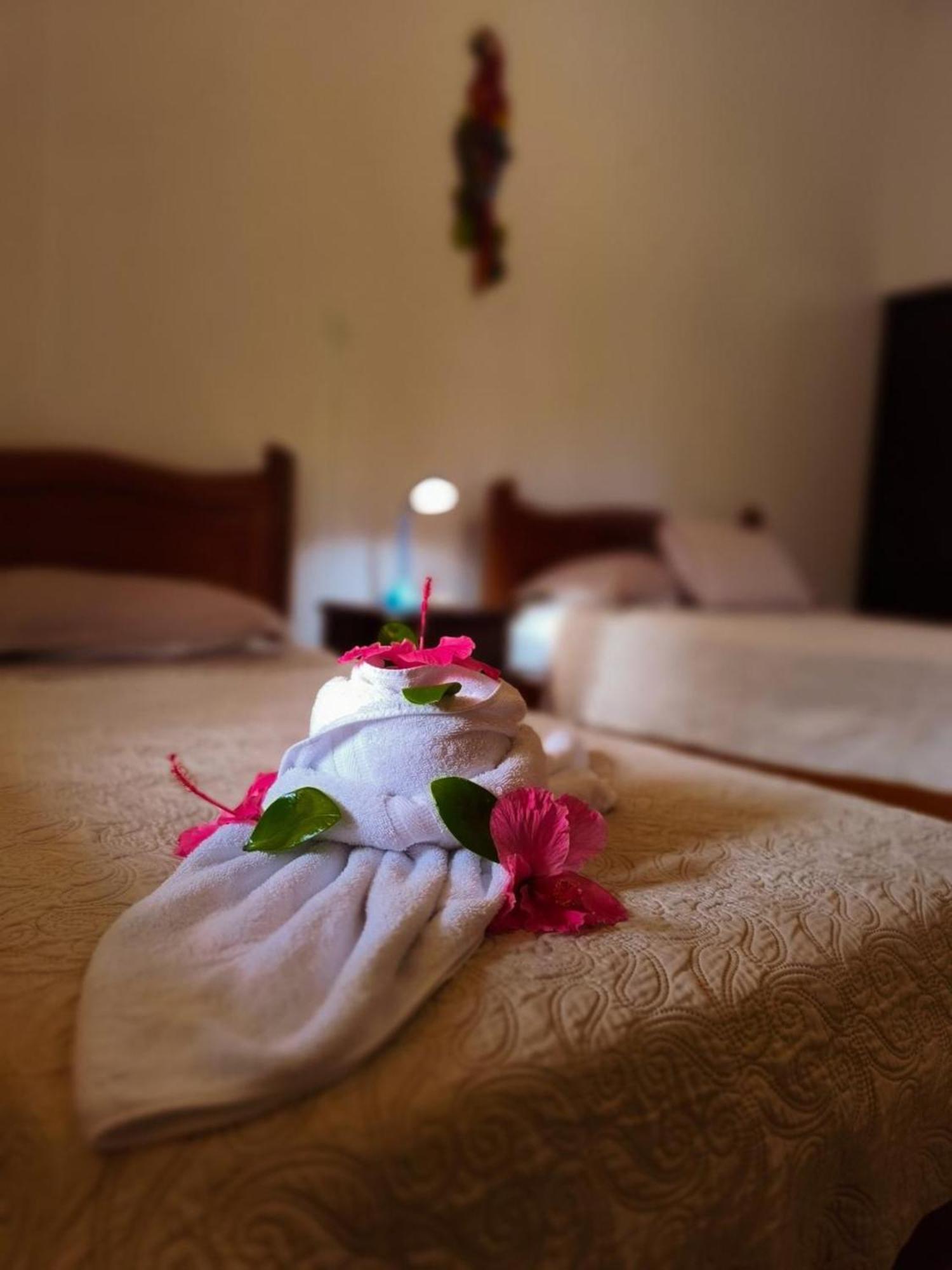 La Laguna Del Lagarto Eco-Lodge Pital  外观 照片