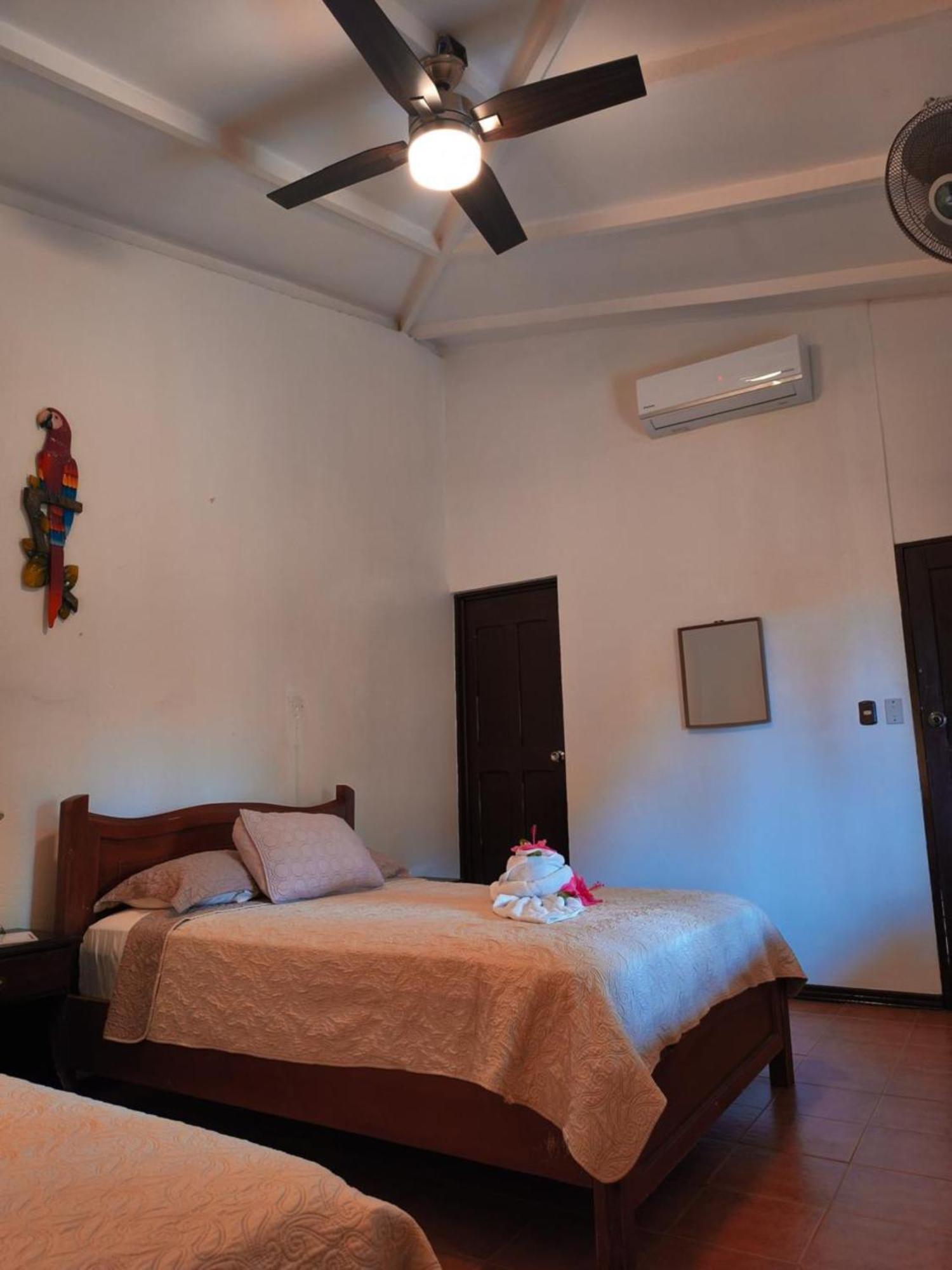 La Laguna Del Lagarto Eco-Lodge Pital  外观 照片