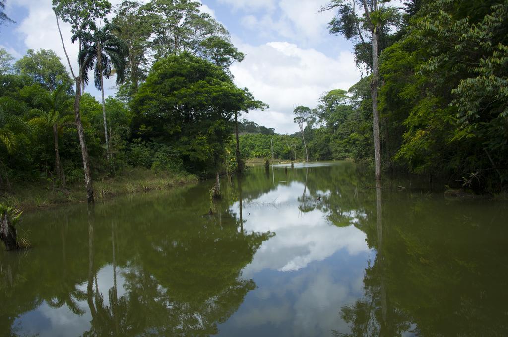 La Laguna Del Lagarto Eco-Lodge Pital  外观 照片