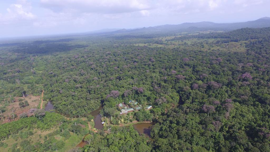 La Laguna Del Lagarto Eco-Lodge Pital  外观 照片