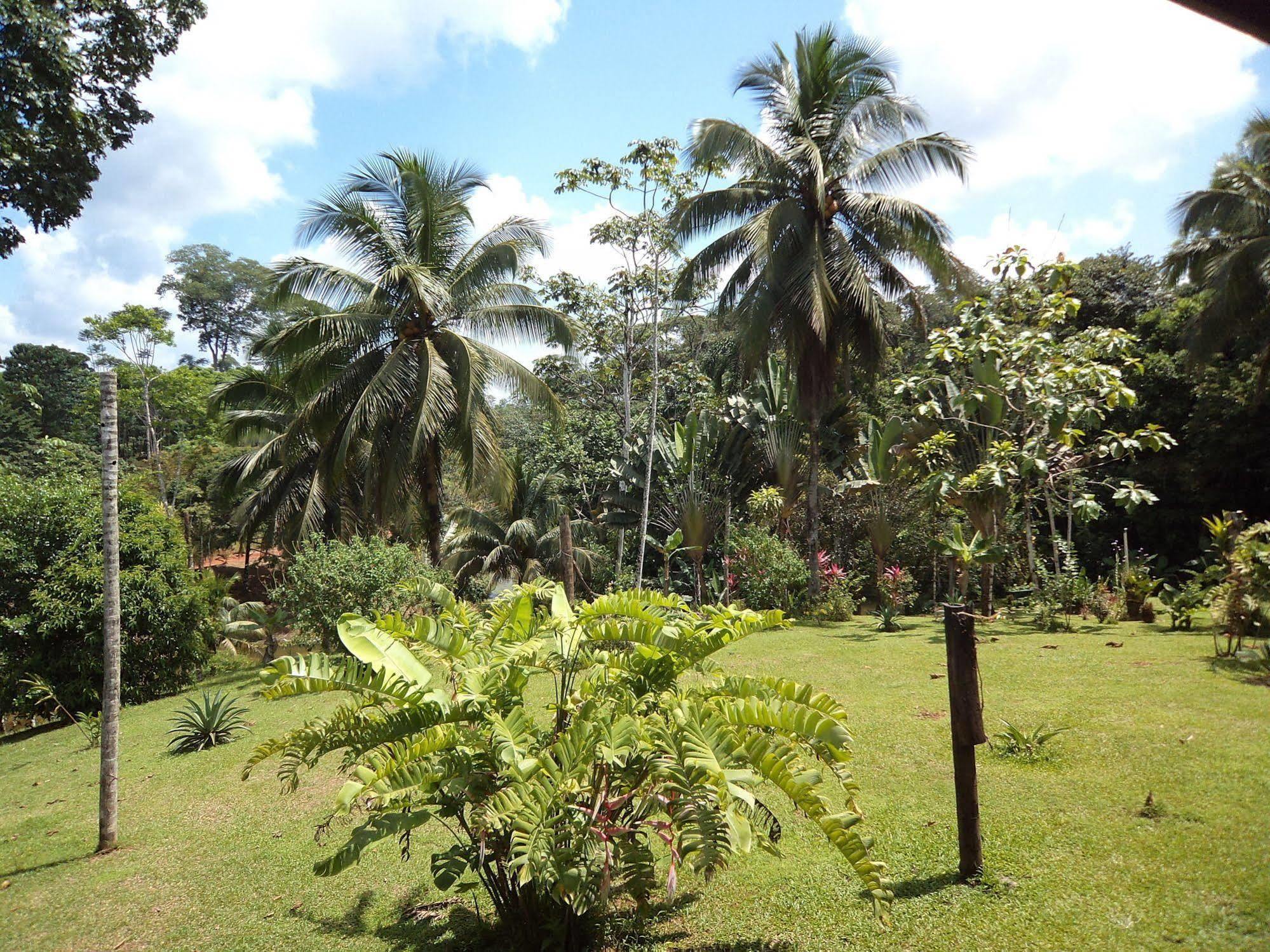 La Laguna Del Lagarto Eco-Lodge Pital  外观 照片