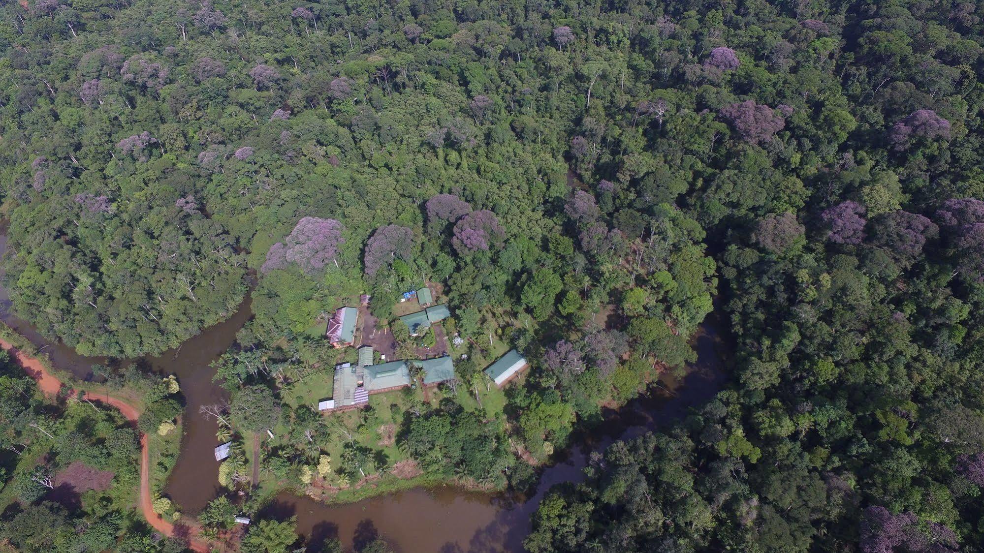 La Laguna Del Lagarto Eco-Lodge Pital  外观 照片