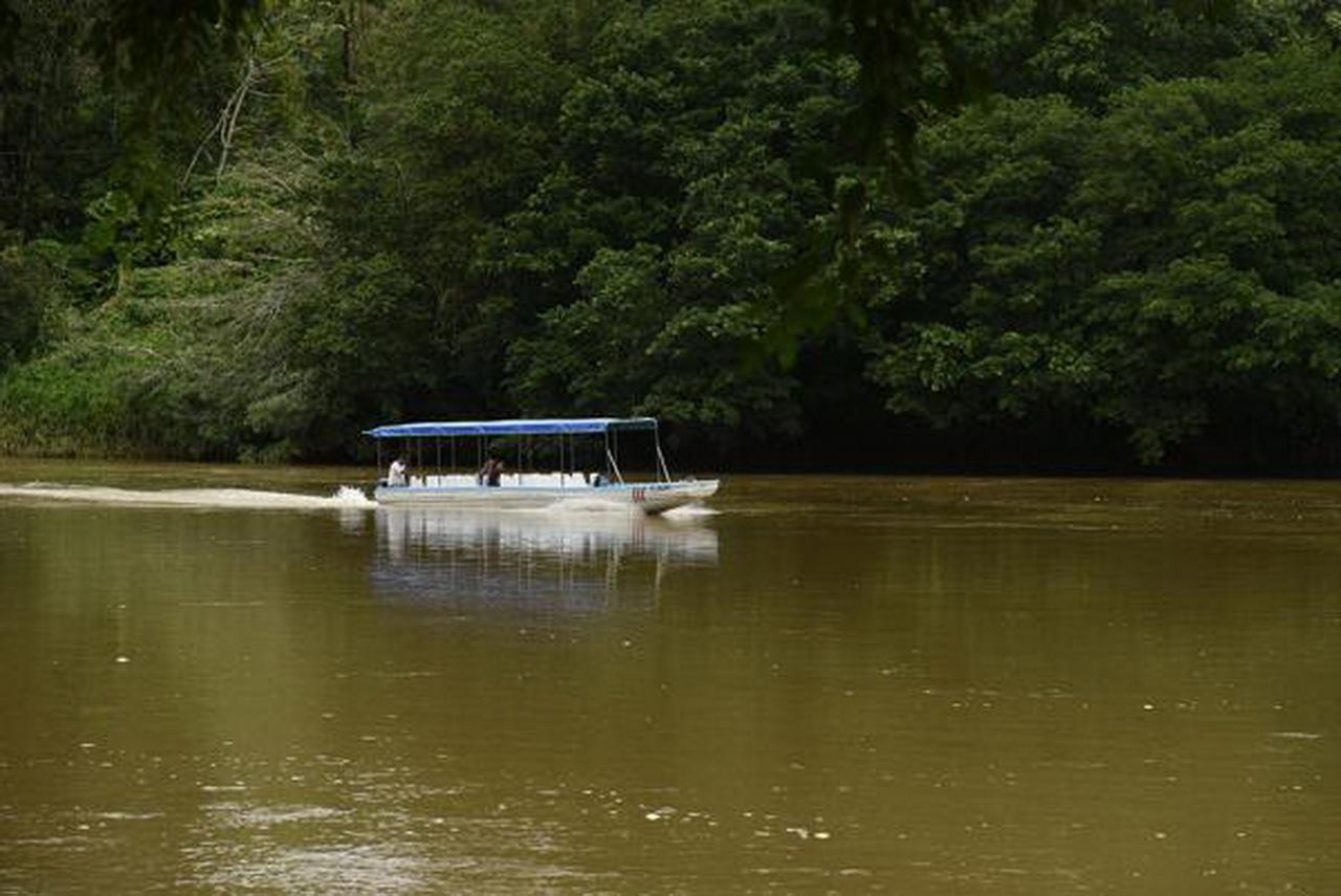 La Laguna Del Lagarto Eco-Lodge Pital  外观 照片