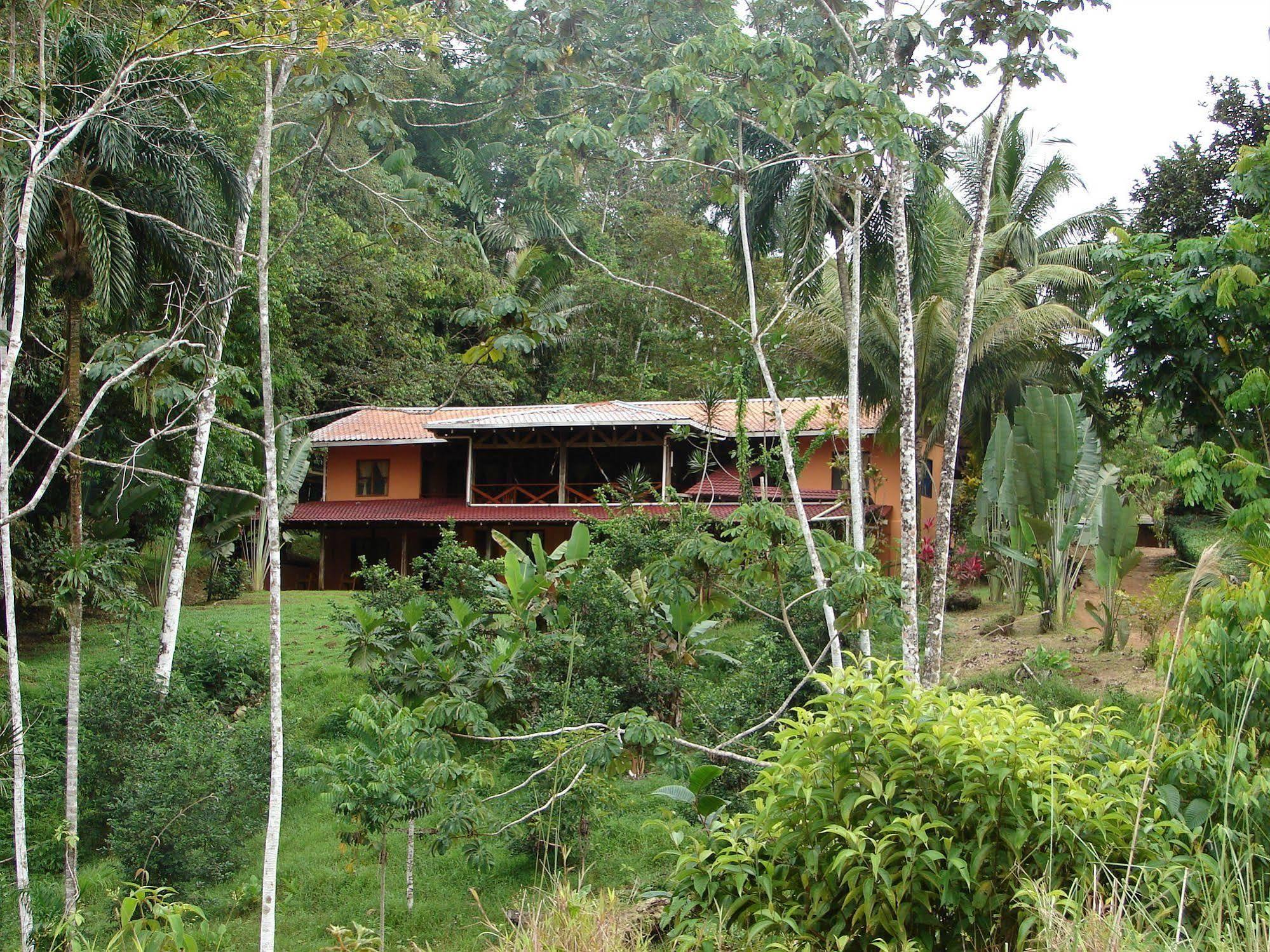 La Laguna Del Lagarto Eco-Lodge Pital  外观 照片
